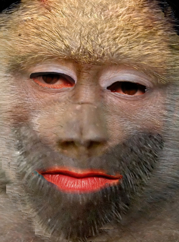 Creation of Baboon Hypnotist : Step 3